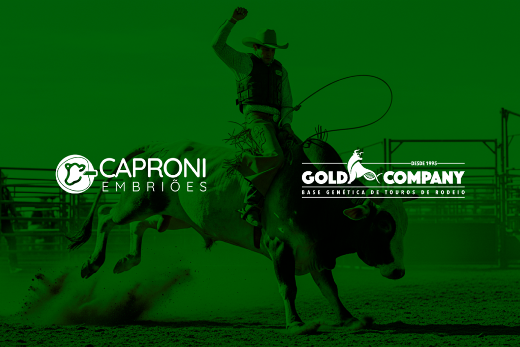 Do desafio à alta performance: a trajetória genética da Gold Company