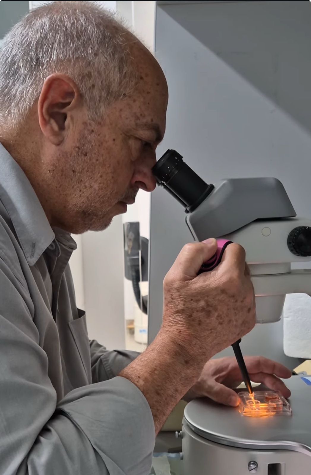 25 anos de experiência em biotecnologia reprodutiva bovina