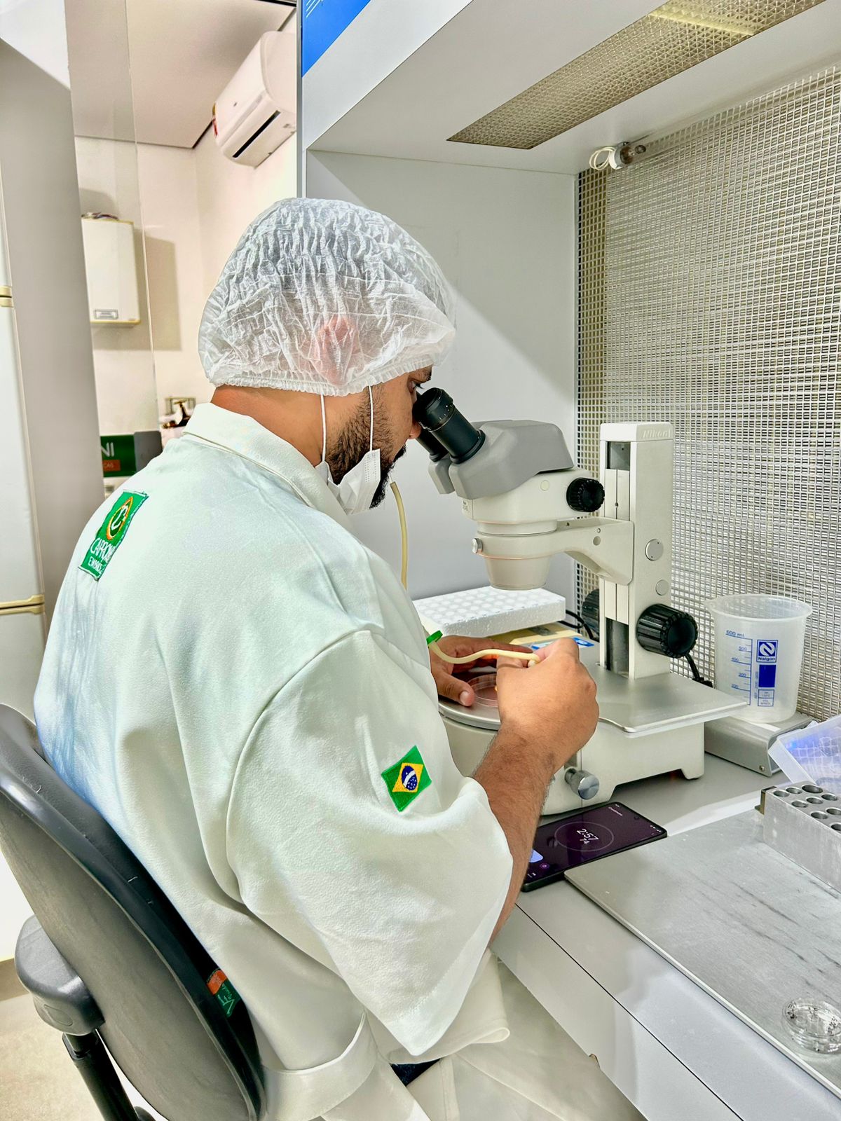 FIV - Fertilização in Vitro em bovinos - Processo laboratorial