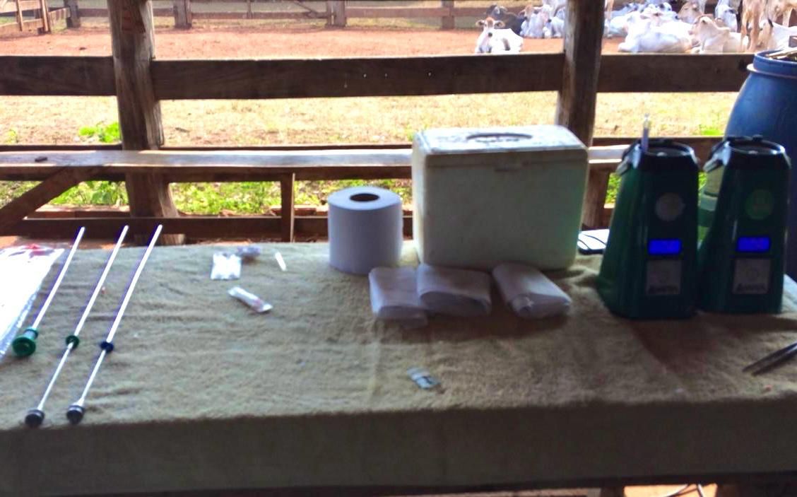 IATF - Inseminação Artificial em Tempo Fixo