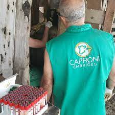 Suporte técnico completo em reprodução bovina